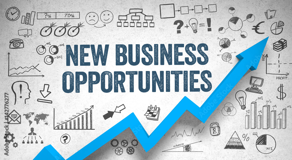 The Insurance Business: A Growing Opportunity income opportunities in insurance sector